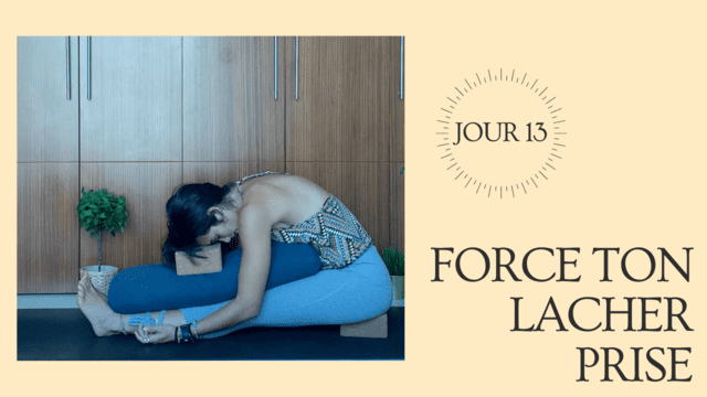 JOUR 13: FORCE TON LACHER PRISE