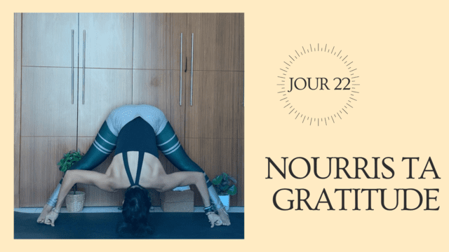 JOUR 22 : NOURRIS TA GRATITUDE